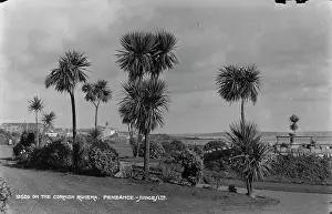 Seascape: On the Cornish Riviera