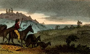 Mules: Cornish tinners using pack mules to carry their