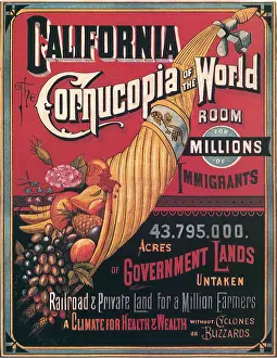 Absence: Cornucopia Poster