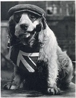 Feb23: Coronation 1937 - Decorated Sandringham Stumble