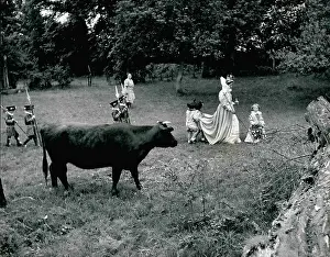 Yeomen: Coronation pageant rehearsal, Meadle, Buckinghamshire