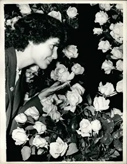 20000: Coronation Rose Show, London