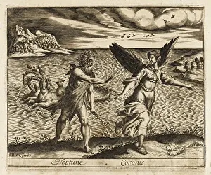 Flees: Coronis (Crow)