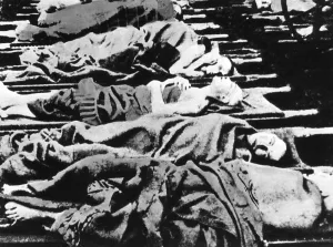 Corpses: Corpses in Auschwitz
