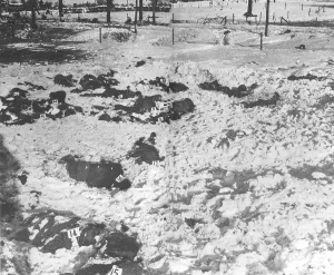 Corpses: Corpses of executed Americans at Malmedy, 1944
