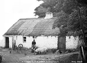 Spinning: A Corrymeela Farm, Cushendun