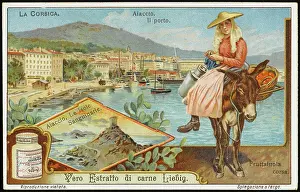 Ajaccio: CORSICA/AJACCIO/LIEBIG