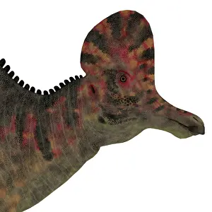 Overweight: Corythosaurus dinosaur head