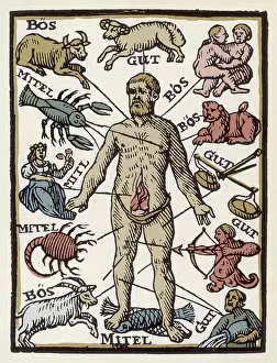 Influences: Cosmic influences on the body