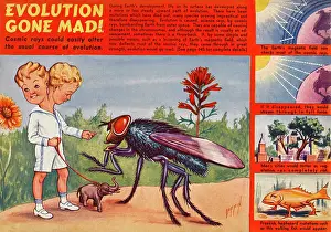 Mutations: COSMIC MUTATION