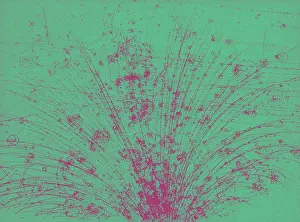 Detector: Cosmic Ray Tracks, Bubble Chamber Event