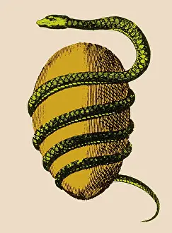 Orpheus: Cosmology, Orphic Egg, Source of the Universe