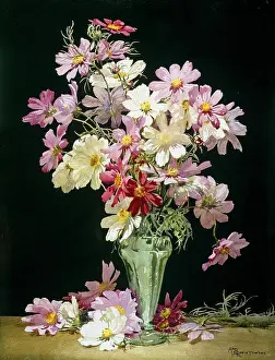 Reeve: Cosmos in Green Glass Vase
