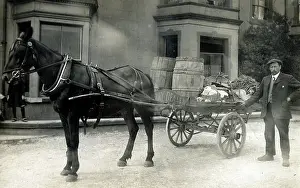 Costermonger: A Costermonger and his cart
