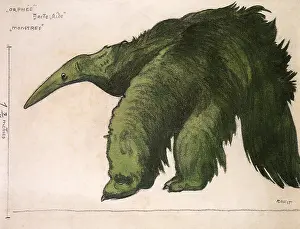 Bakst: Costume design by Bakst for Monster in Orphee