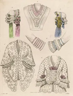 Scallop: Costume - Lingerie 1851