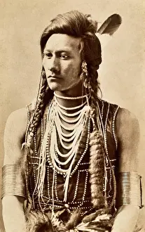 Hide: Cotsiogo, Eastern Shoshone Artist