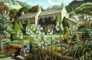 Allinson: Cotswold Blooms ' boy and cat in garden