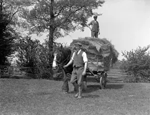 Barnaby: COTSWOLDS HAY CART