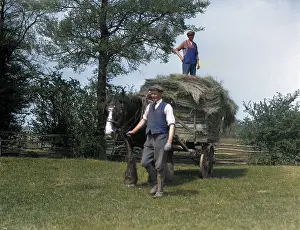 Oncolourisedpic: COTSWOLDS HAY CART