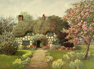 Matthews: Cottage