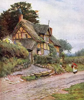 Alderley: COTTAGE AT ALDERLEY EDGE