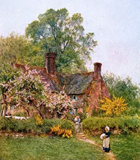 Chiddingfold: COTTAGE AT CHIDDINGFOLD