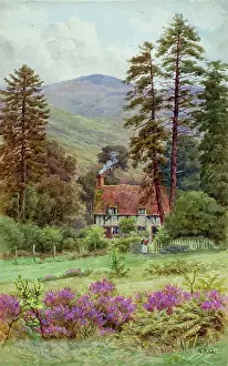 Hindhead: Cottage at Hindhead, Surrey