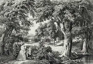 C1866: My cottage home
