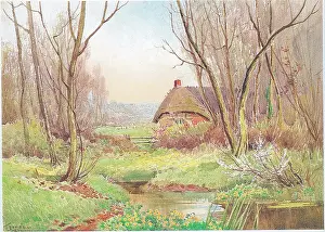 Stannard: Cottage and Meadow