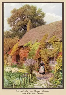 Midhurst: COTTAGE NEAR MIDHURST