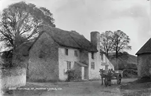 Thatched: Cottage at Saunton