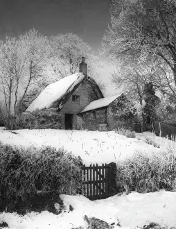 Harlestone: COTTAGE IN THE SNOW