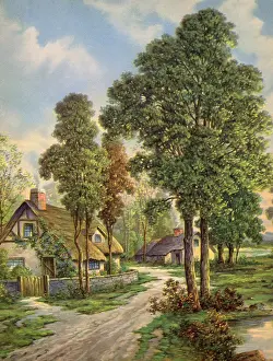 Winds: Cottage and Tall Trees