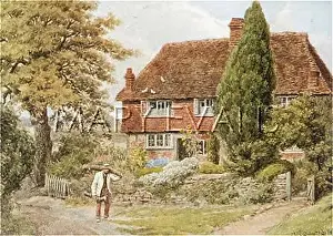 Petworth: COTTAGE AT TILLINGTON