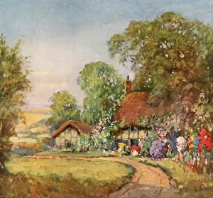 Seem: Cottage and Trees