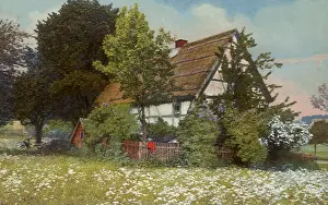 Obscuring: Cottage with Trees