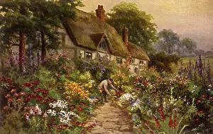 Tending: Cottage and Wilderness