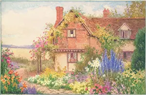 Witley: Cottage at Witley, Surrey