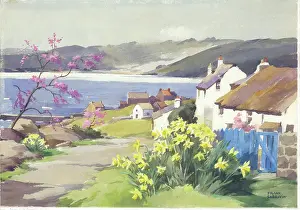 Almond: Cottages by sea, daffodils & tree in blossom