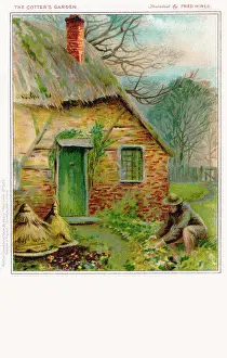 Cotter: The Cotter's Garden