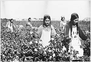 Turkmenistan: COTTON FOR ARMS