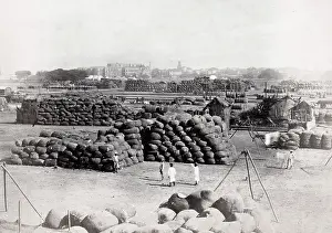 Bales: Cotton bales waiting for export, India