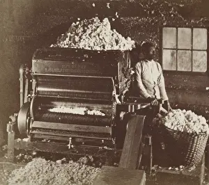 Weller: Cotton Gin, 1870