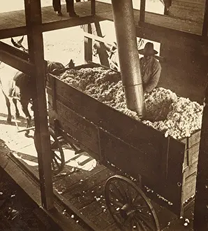 Suction: Cotton Gin Unloading by Pneumatic Suction, c. 1900