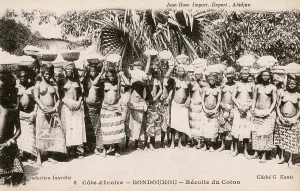 Tradtional: The Cotton Harvest at Bondoukou, Ivory Coast