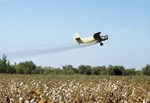 Solution: Cotton harvesting, 1987