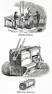 Manufactory: Cotton industry -- people picking, and willowing machine
