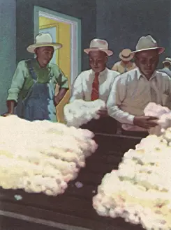 Inspectors: Cotton Inspectors