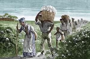 Freed: Cotton Pickers, Alabama, 1887